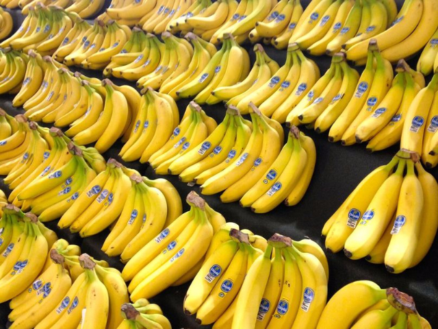 Cameroun : les exportations de bananes en hausse