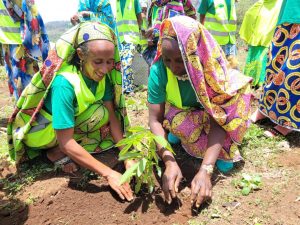 Cameroun : des femmes autochtones formées sur la restauration des paysages agro-pastoraux