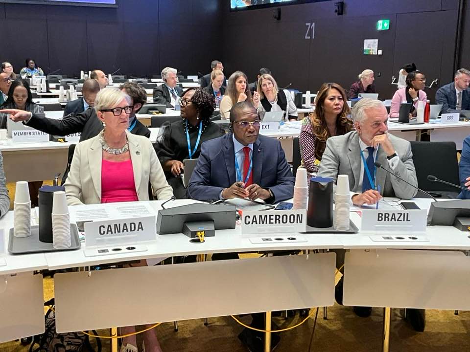 Positionnement : Le Cameroun siège pour la première fois au Conseil Exécutif de l’OMS