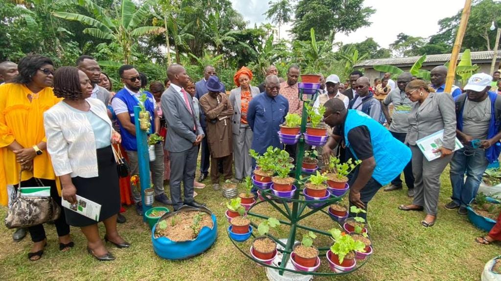Cameroun : 776 millions de F du Feicom pour favoriser les jardins scolaires