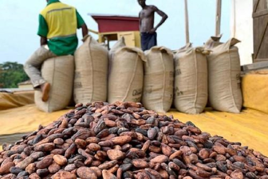 Cameroun : la suspension des exportations du cacao vers le Nigéria reste en vigueur