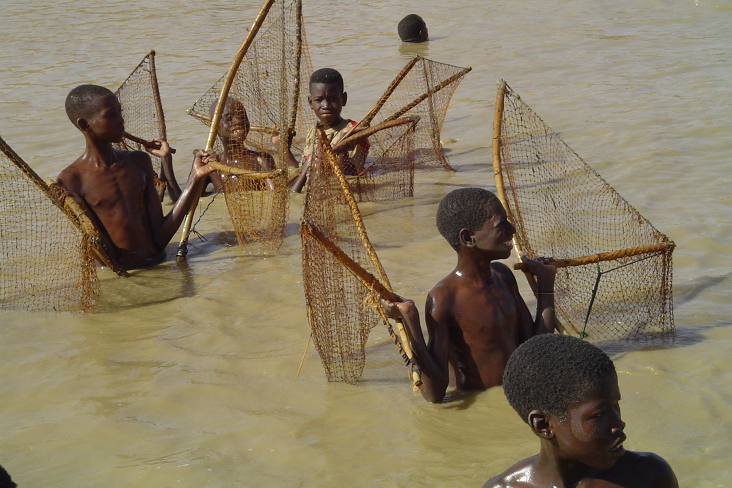 Cameroun-maladies tropicales : 5 millions de Camerounais exposés à la schistosomiase
