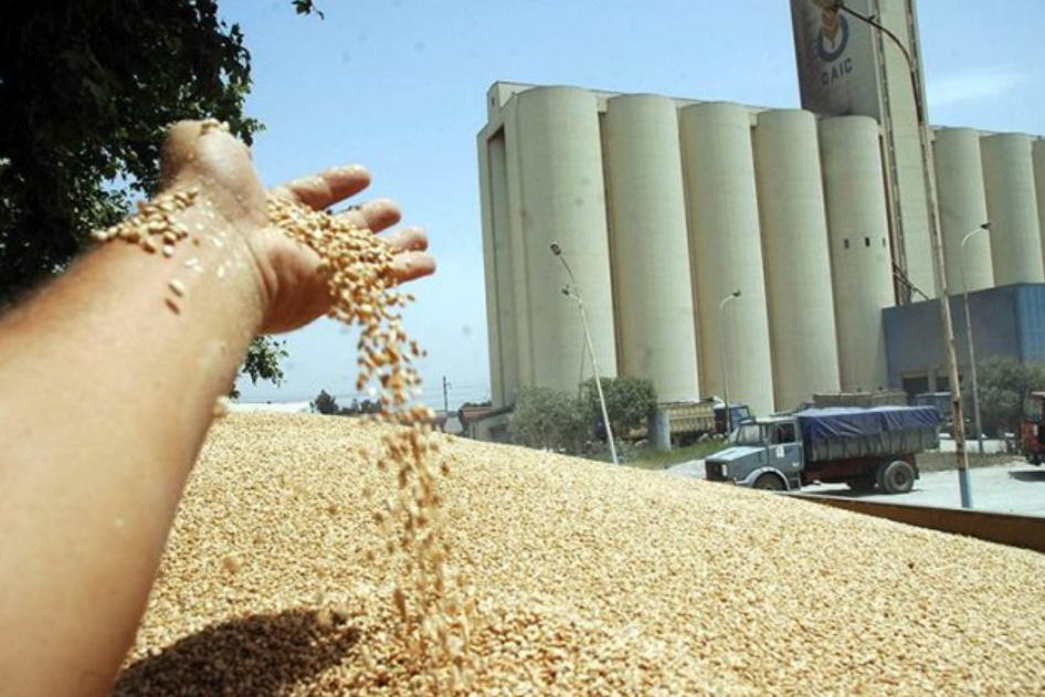 Le Cameroun importe désormais le blé chez 10 fournisseurs