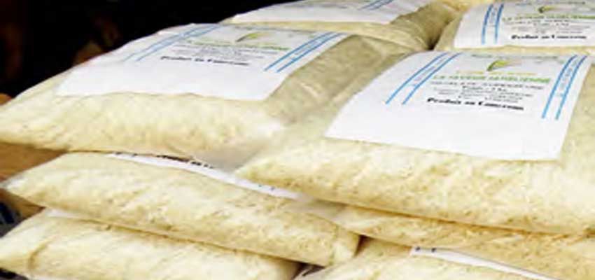 Cameroun-vente du riz : des caravanes mobiles annoncées à Yaoundé et Douala