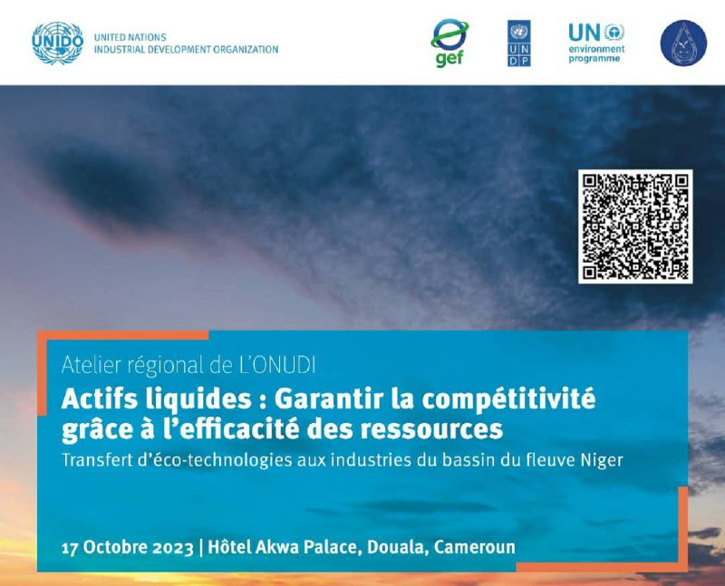 Cameroun: le projet Test sera Niger présenté à Douala