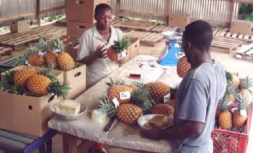 Cameroun-financement : Proparco octroie 13 milliards F à Société Générale pour soutenir les PME