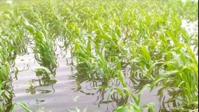 Les inondations touchent la région de l’Extrême-Nord