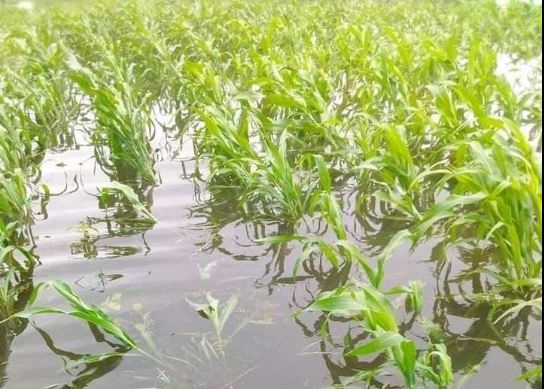 Les inondations touchent la région de l’Extrême-Nord