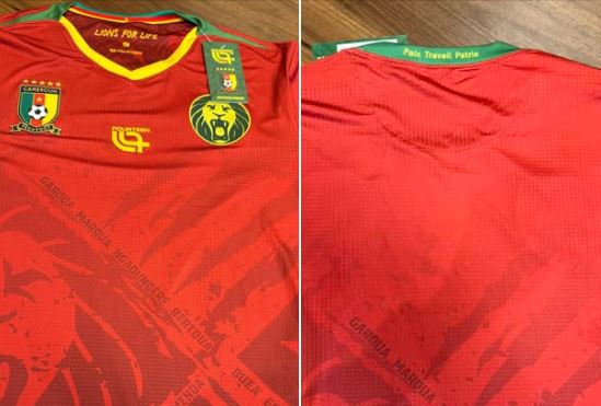 Les Camerounais apprécient les noms des capitales régionales inscrits sur le maillot des Lions