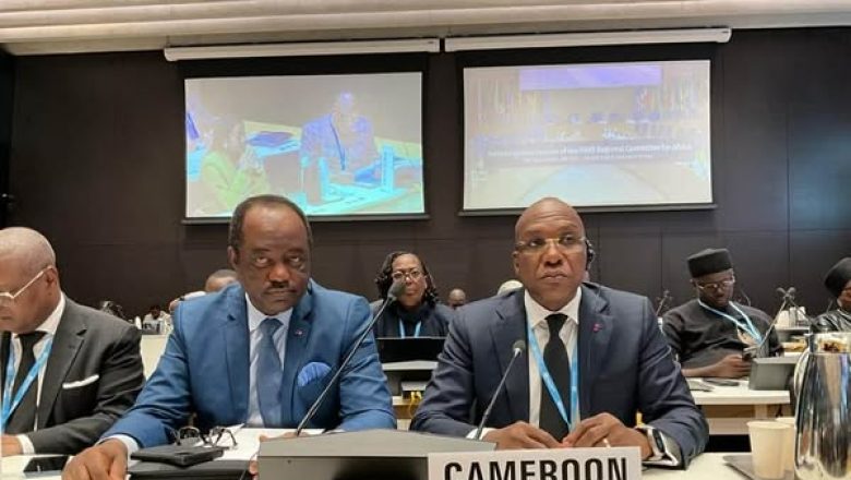 Le Fonds mondial et le Cameroun réajustent leurs activités