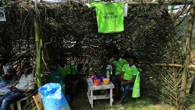 Foire de l'Employabilité annoncée à Ngambé