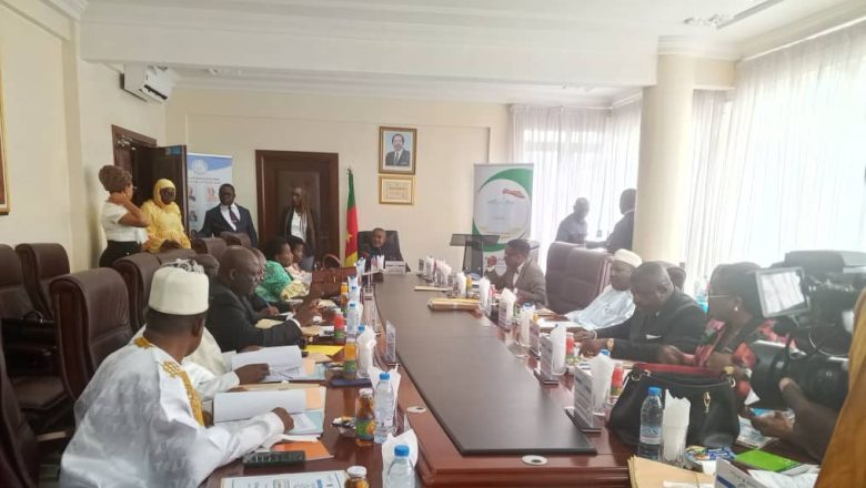 Elecam tient sa session de plein droit à Yaoundé