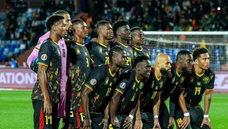 Les Lions déterminés