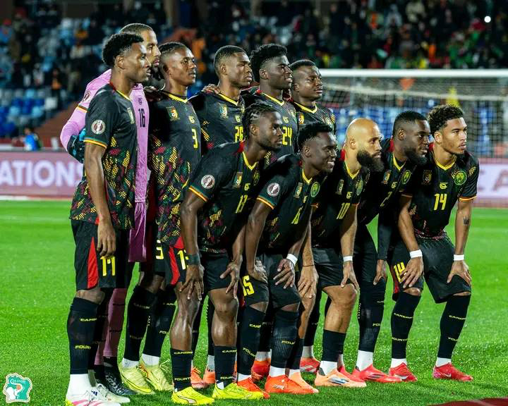 Les Lions déterminés