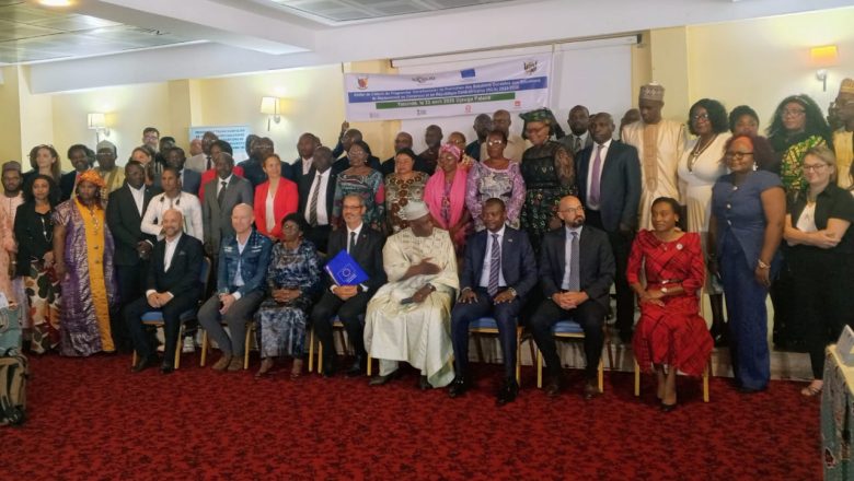 journalducameroun.com