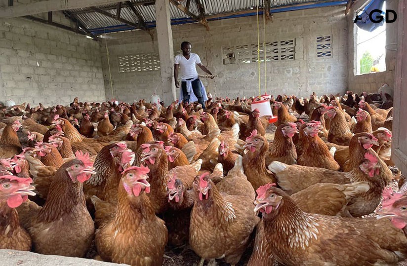 Entrepreneuriat : les jeunes à l’origine de 42 % des PME créées au Cameroun en 2025