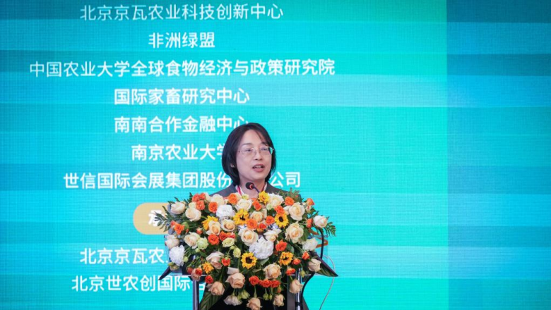 Xinhua