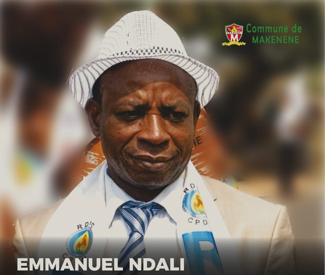 Cameroun : un nouveau maire élu à la tête de la commune de Makénéné