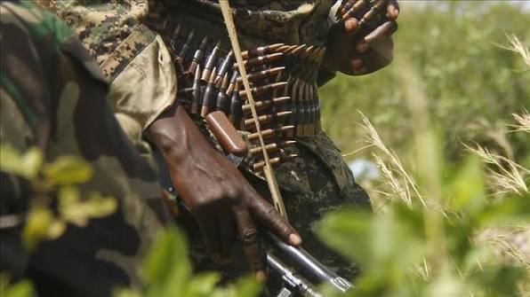Cameroun : quatre combattants de Boko Haram tués dans l’Extrême-Nord (sources militaires)