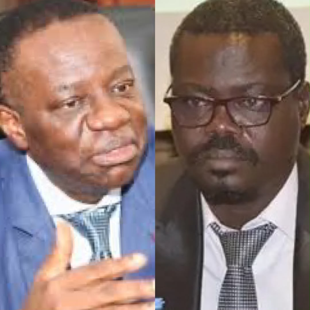 Cameroun : la vacance à la présidence de la République divise le régime et l’opposition