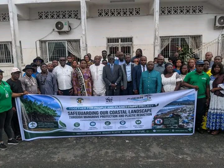 Sud-Ouest : le gouvernement renforce la prévention des catastrophes dans les mangroves de Limbe et Tiko