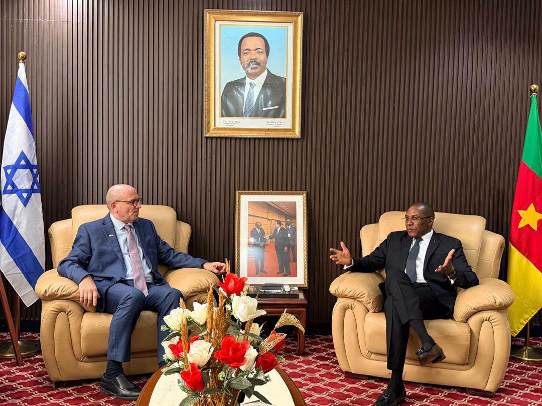 Le Cameroun renforce la diversification des partenaires pour améliorer son système de la santé